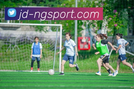 NG体育发展历程